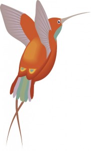 red- orange hummingbird