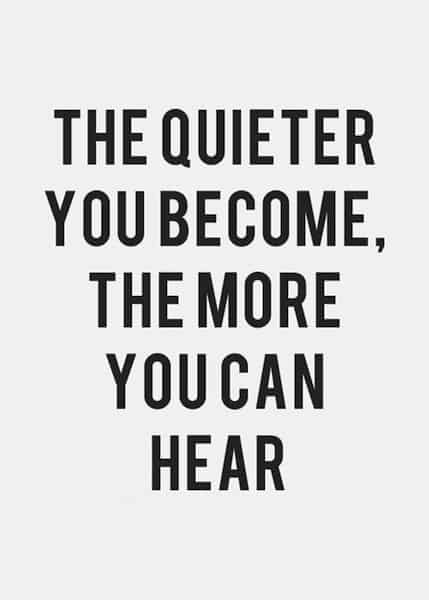 The quieter you become, the more you can hear.  Ram Dass